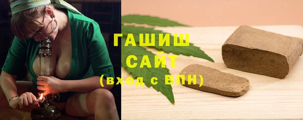 хмурый Алзамай