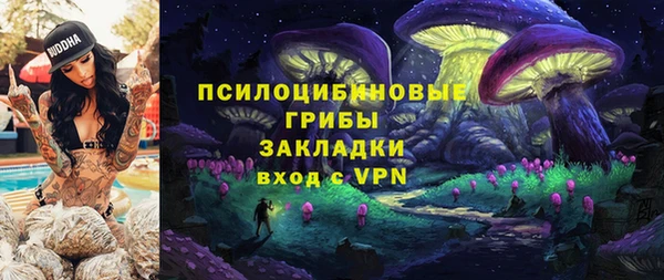 хмурый Алзамай