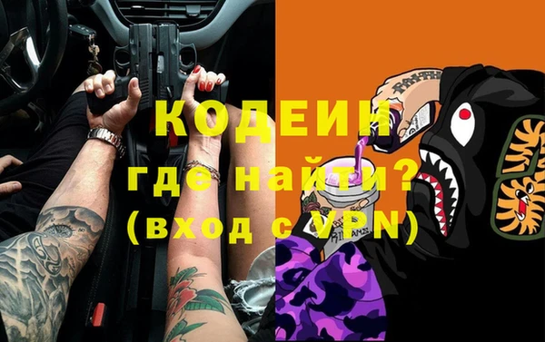 хмурый Алзамай