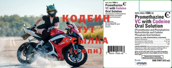 хмурый Алзамай