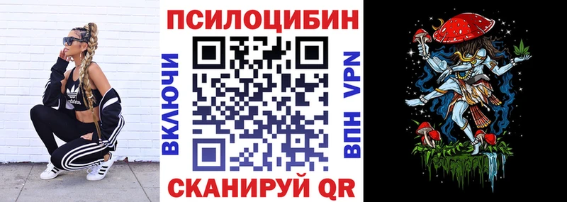 как найти закладки  Кимры  kraken онион  Псилоцибиновые грибы Cubensis 